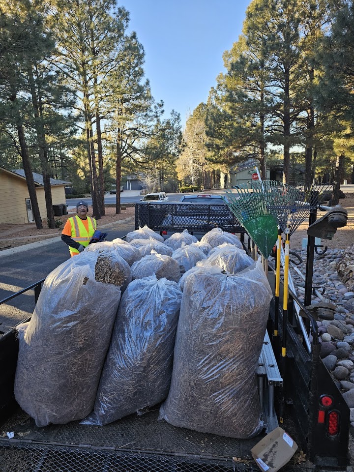 The Clean Up Crew Flagstaff LLC project